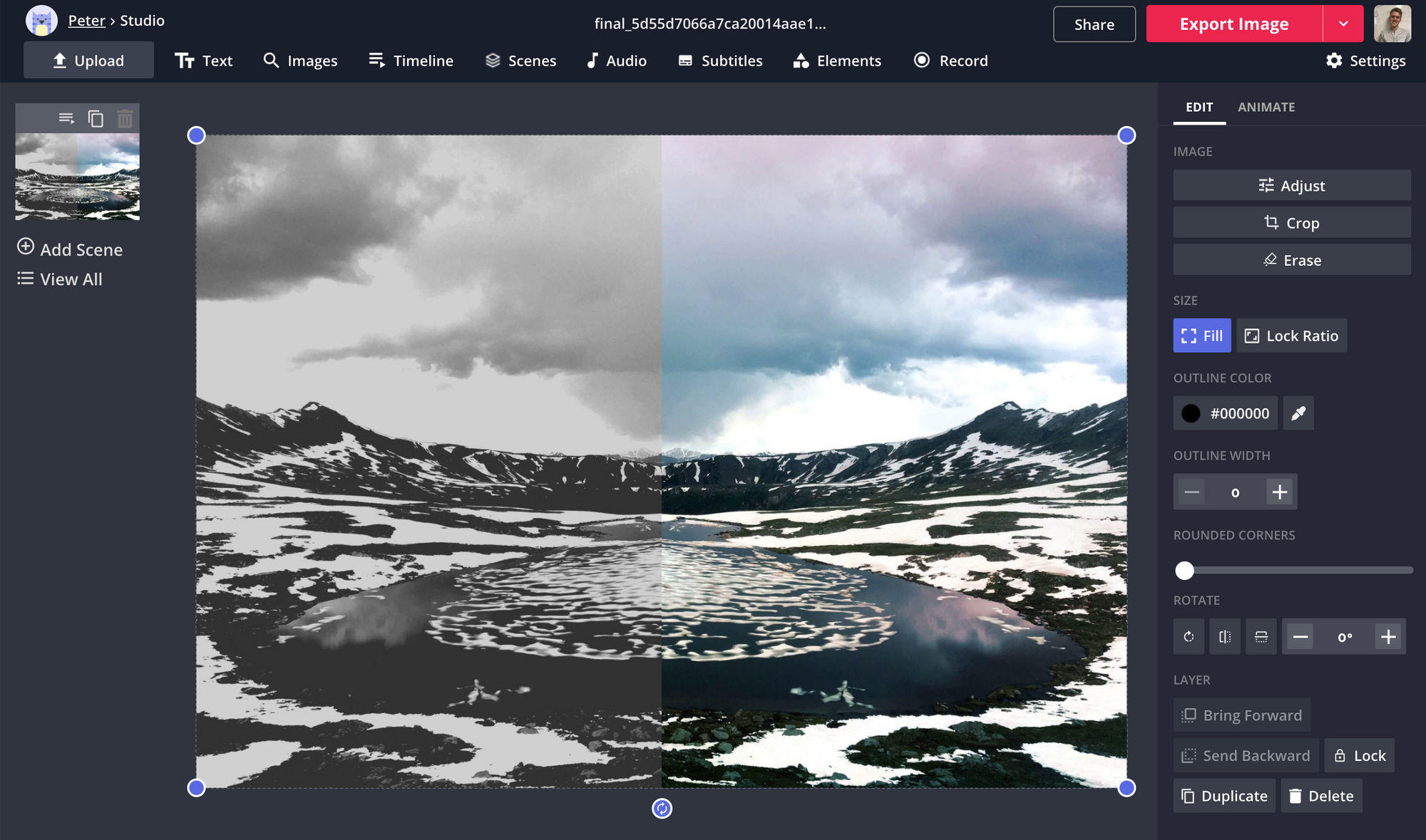 How to Edit Black and White Photos Online
